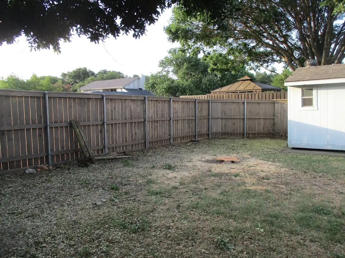 Cleared yard after professional tree removal in Evington